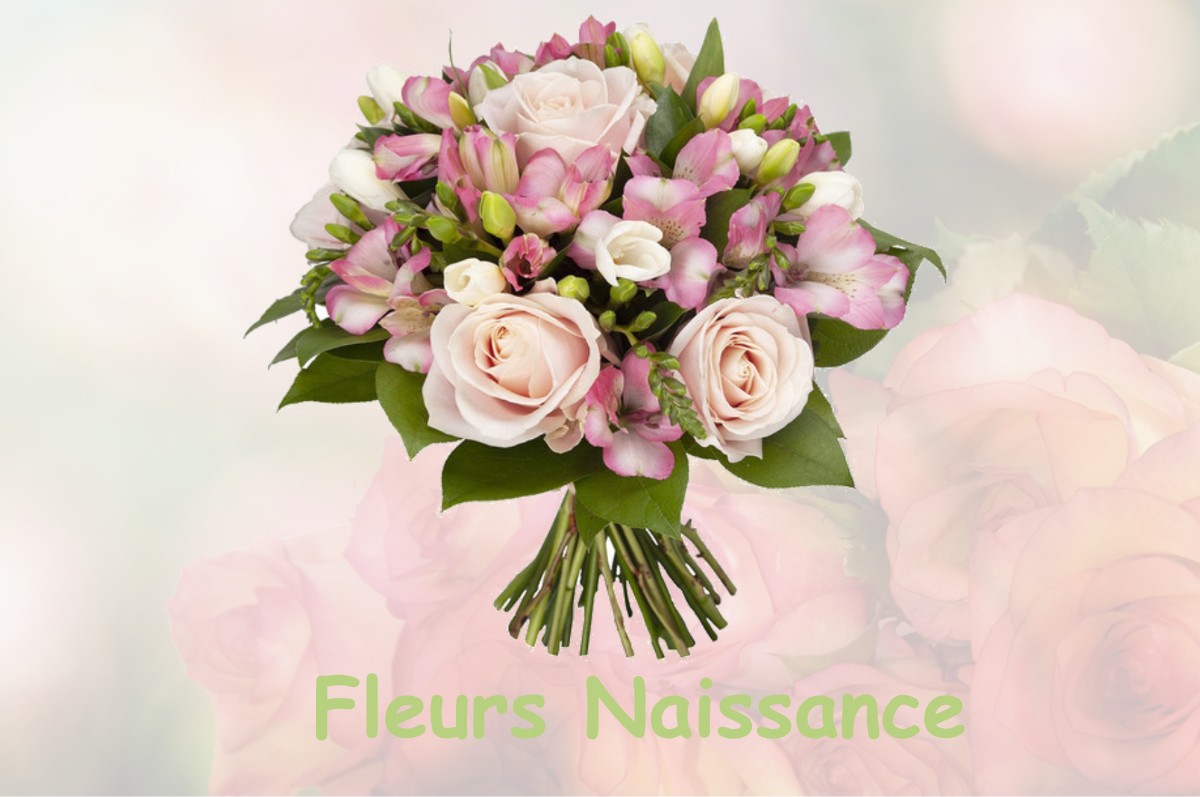 fleurs naissance SAINT-LAURENT-SUR-OTHAIN